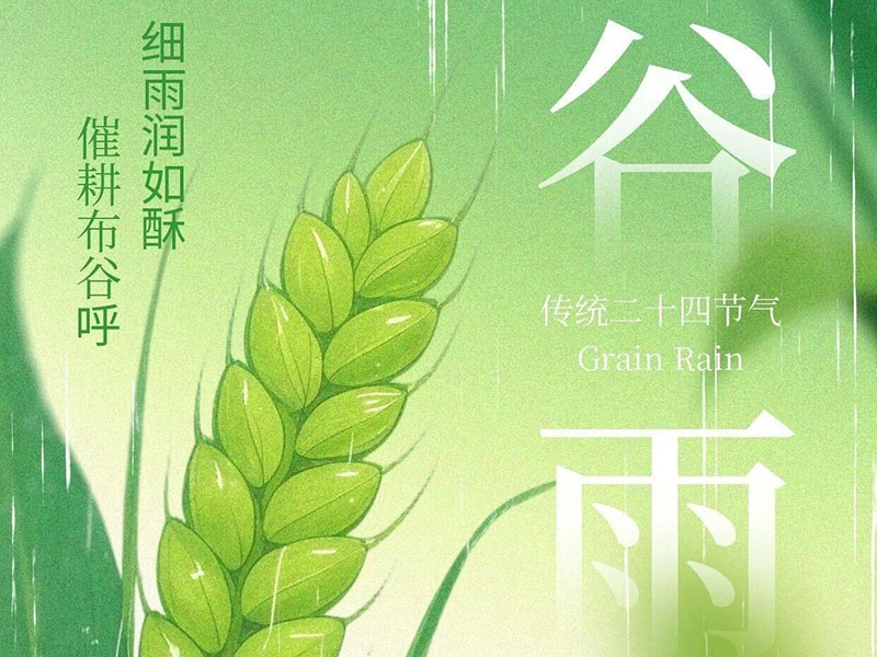 二十四节气|谷雨